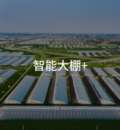智能大棚+