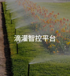 滴灌智控平台